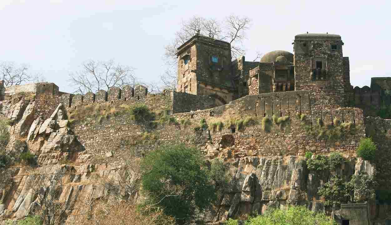 Rajasthan Wildlife Tour Package